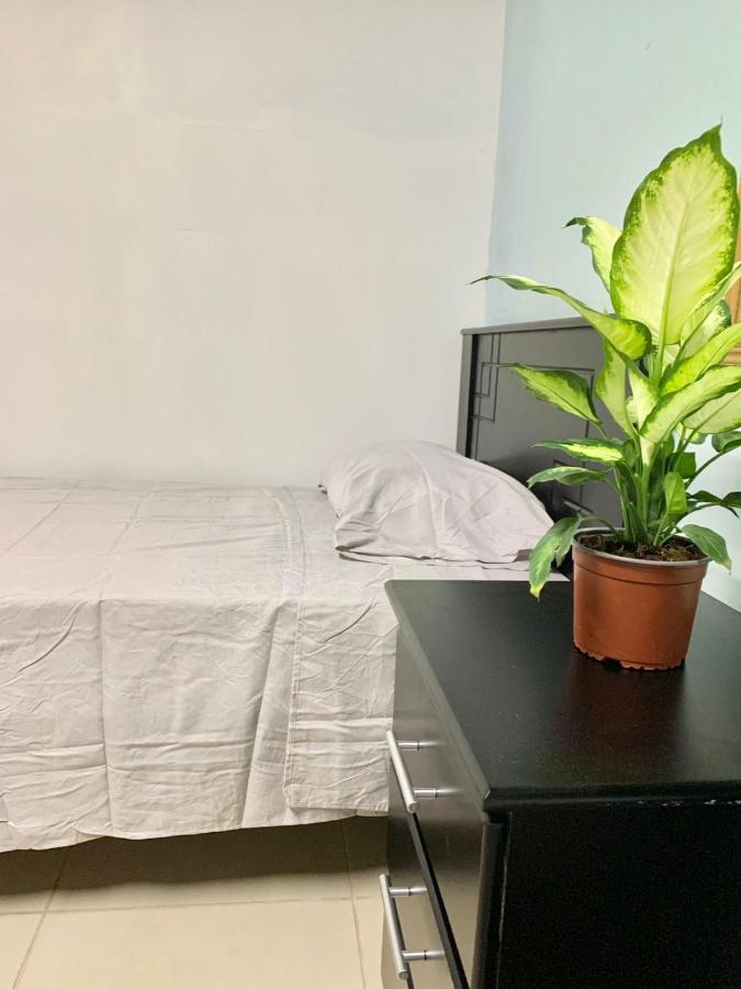 Global House Cr Hostel Backpackers Alajuela Habitacion Compartida 2 Camas Por Habitacion Екстериор снимка