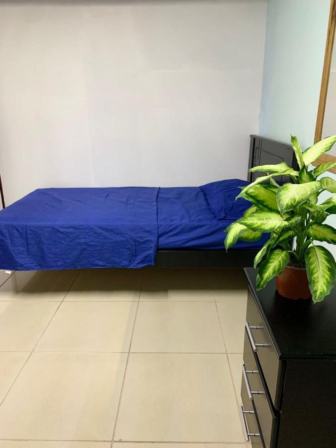 Global House Cr Hostel Backpackers Alajuela Habitacion Compartida 2 Camas Por Habitacion Екстериор снимка